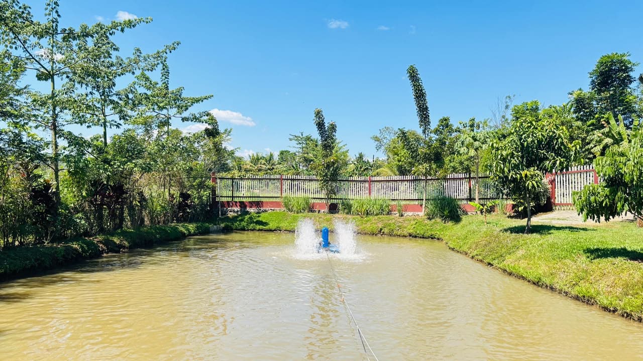Tambak Ikan Desa Lekopancing